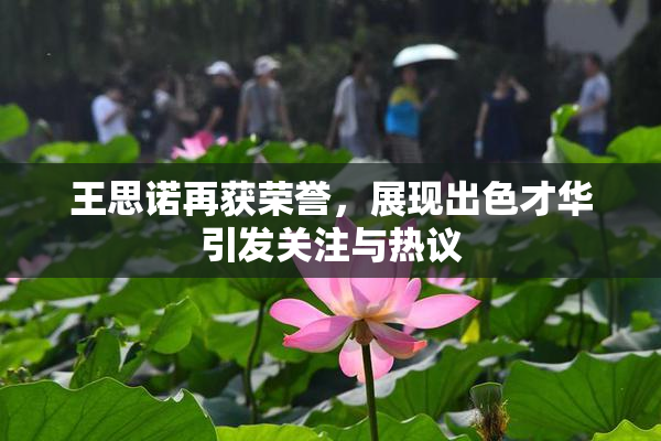 王思诺再获荣誉，展现出色才华引发关注与热议