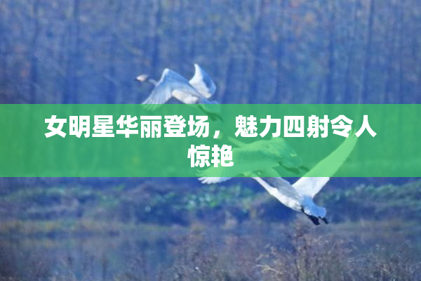 女明星华丽登场，魅力四射令人惊艳