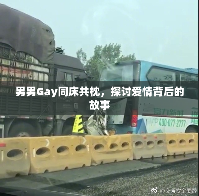 男男Gay同床共枕，探讨爱情背后的故事
