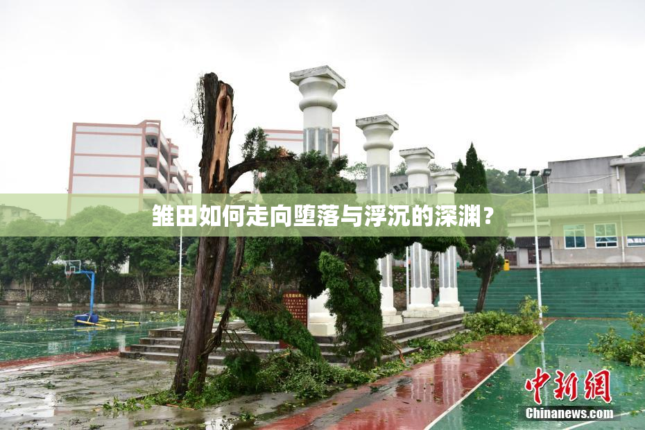 雏田如何走向堕落与浮沉的深渊？