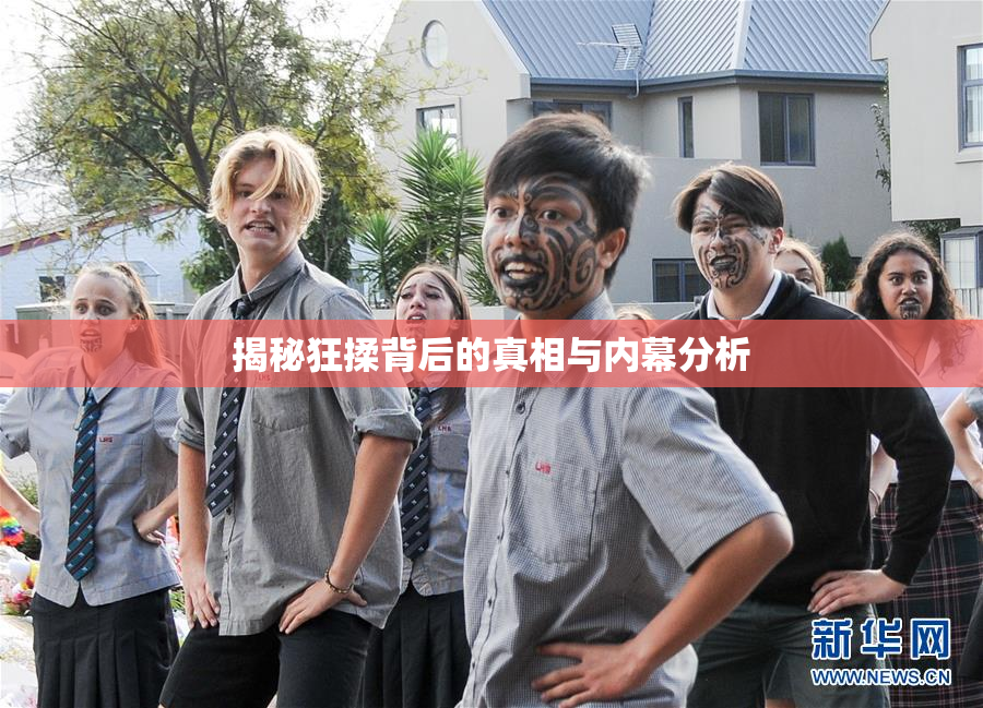 揭秘狂揉背后的真相与内幕分析