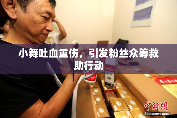 小舞吐血重伤，引发粉丝众筹救助行动