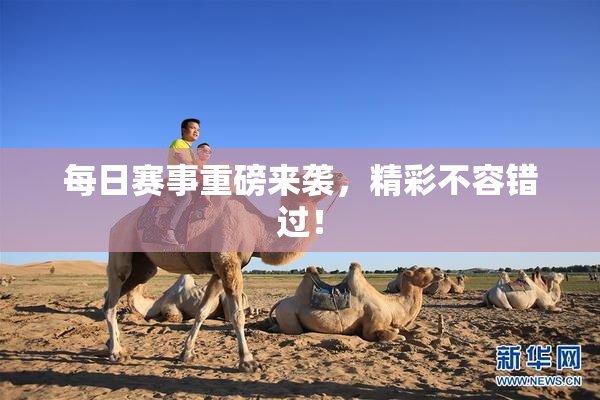 每日赛事重磅来袭，精彩不容错过！