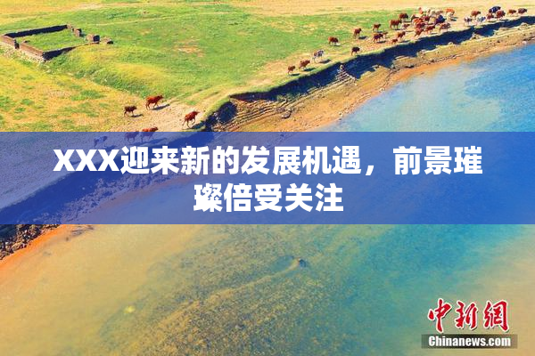 XXX迎来新的发展机遇，前景璀璨倍受关注