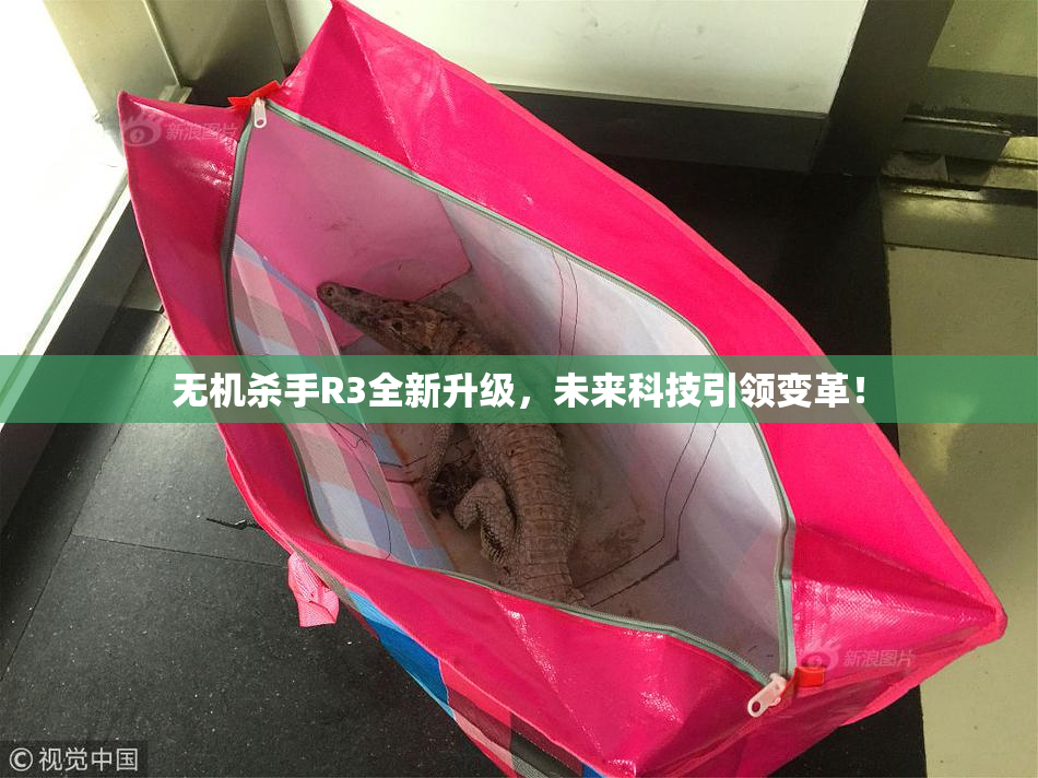 无机杀手R3全新升级，未来科技引领变革！