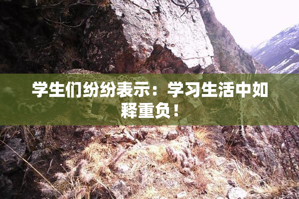 学生们纷纷表示：学习生活中如释重负！