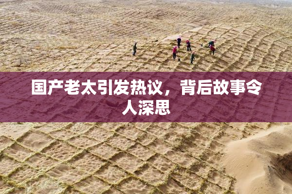 国产老太引发热议，背后故事令人深思
