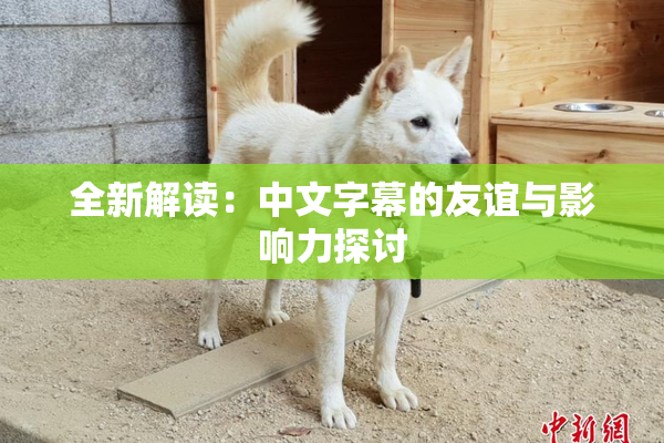 全新解读：中文字幕的友谊与影响力探讨