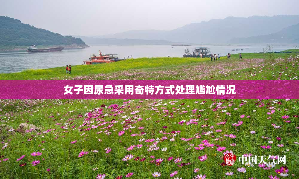 女子因尿急采用奇特方式处理尴尬情况