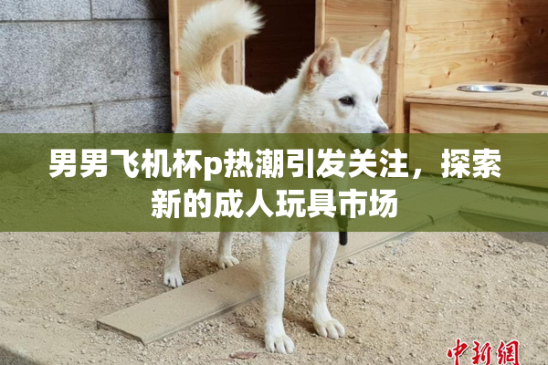 男男飞机杯p热潮引发关注，探索新的成人玩具市场