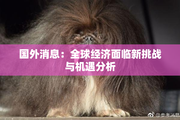 国外消息：全球经济面临新挑战与机遇分析