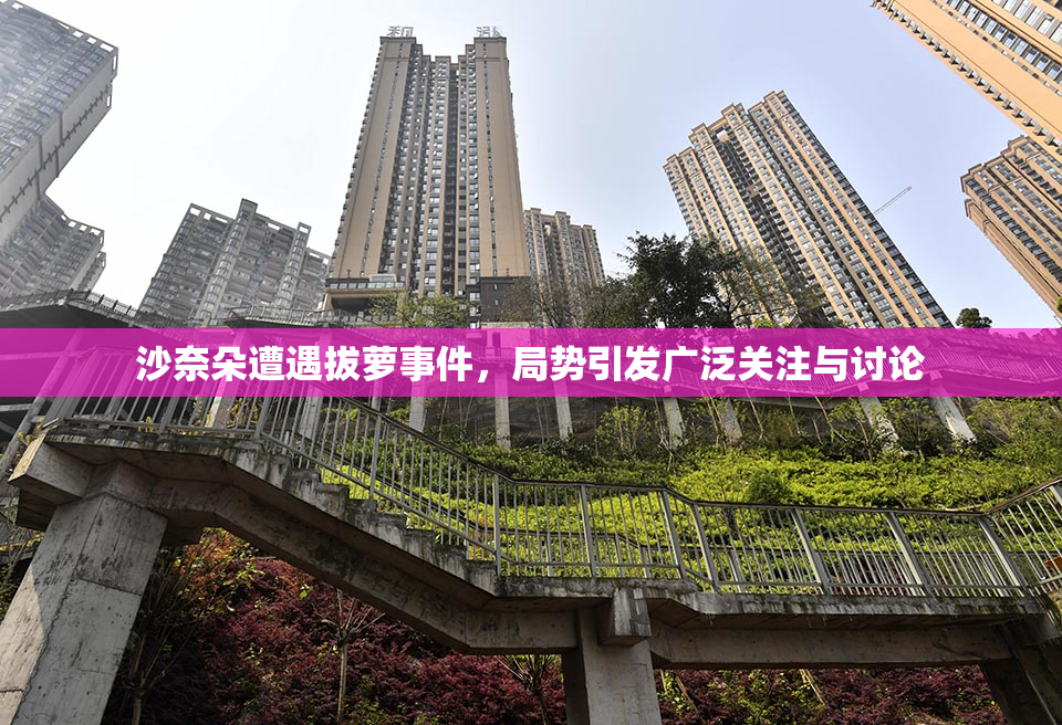 沙奈朵遭遇拔萝事件，局势引发广泛关注与讨论