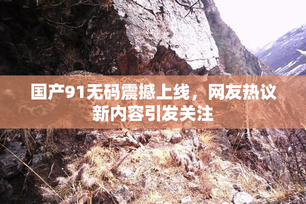 国产91无码震撼上线，网友热议新内容引发关注