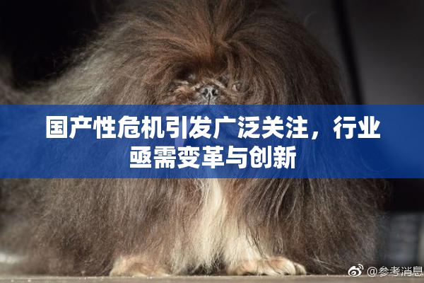 国产性危机引发广泛关注，行业亟需变革与创新