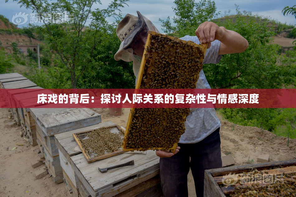 床戏的背后：探讨人际关系的复杂性与情感深度