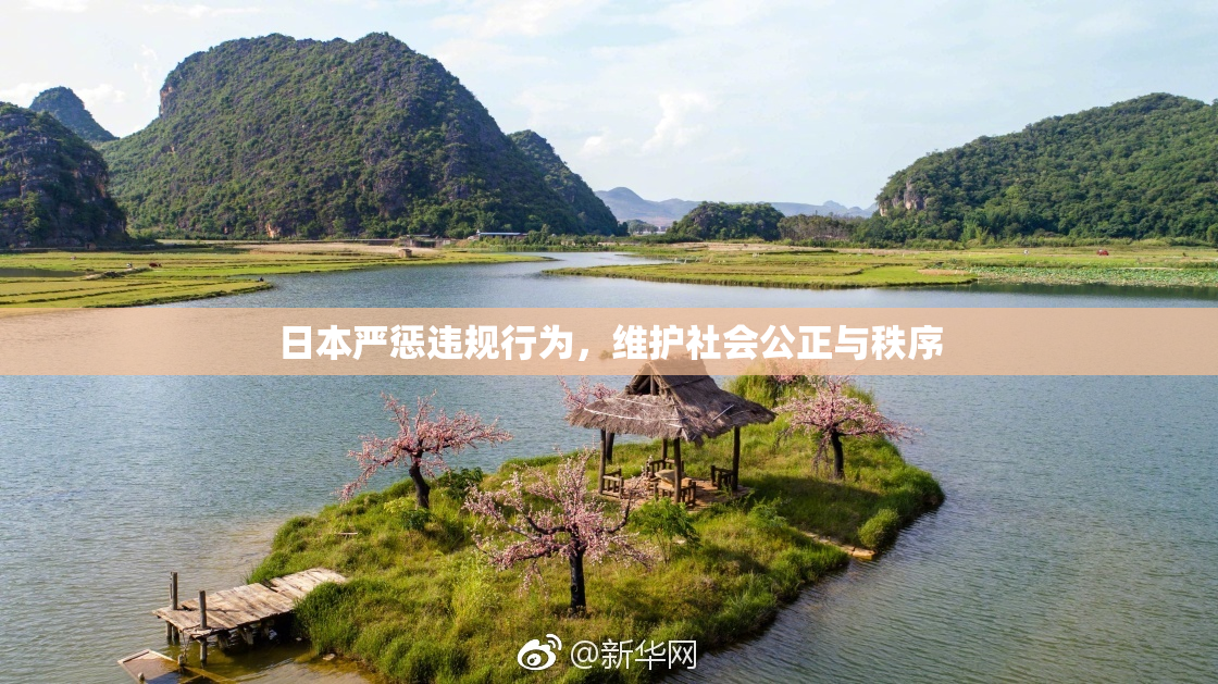 日本严惩违规行为，维护社会公正与秩序