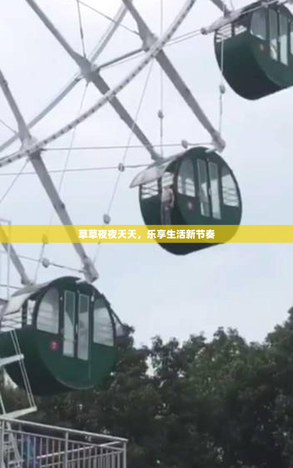 草草夜夜天天，乐享生活新节奏