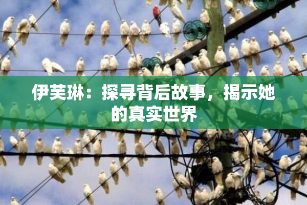 伊芙琳：探寻背后故事，揭示她的真实世界