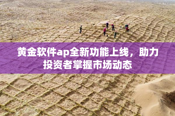 黄金软件ap全新功能上线，助力投资者掌握市场动态