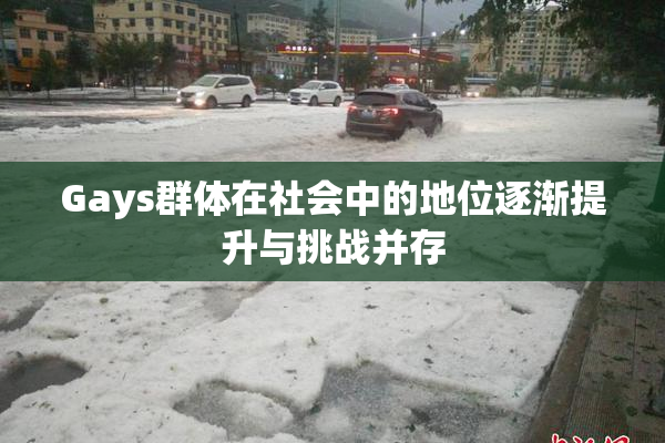 Gays群体在社会中的地位逐渐提升与挑战并存