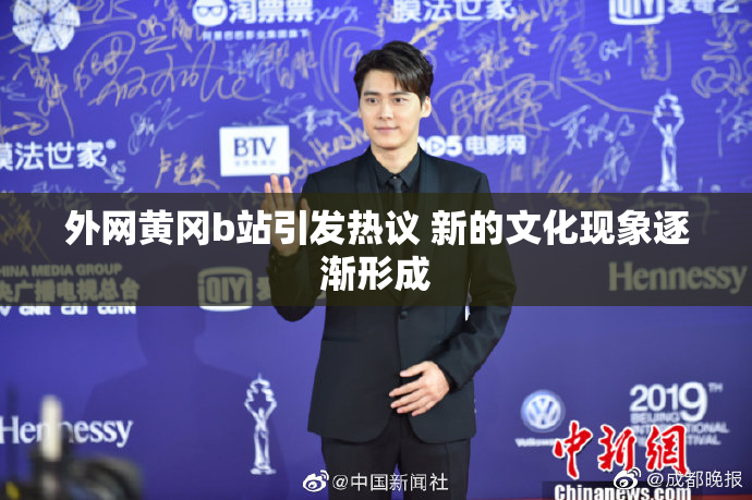 外网黄冈b站引发热议 新的文化现象逐渐形成