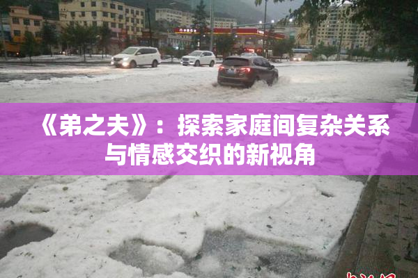 《弟之夫》：探索家庭间复杂关系与情感交织的新视角