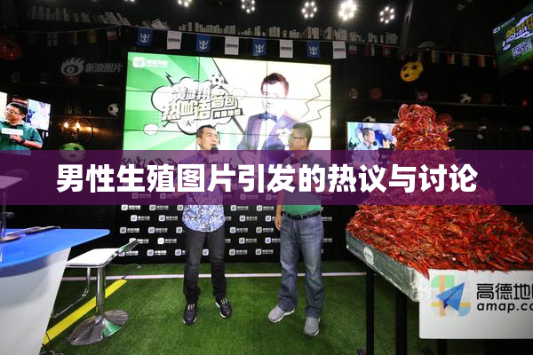 男性生殖图片引发的热议与讨论