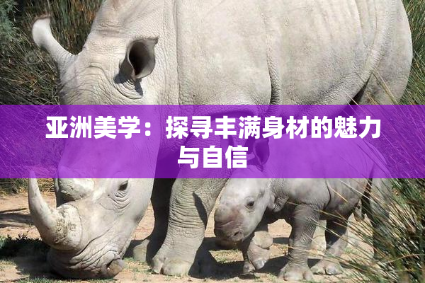 亚洲美学：探寻丰满身材的魅力与自信