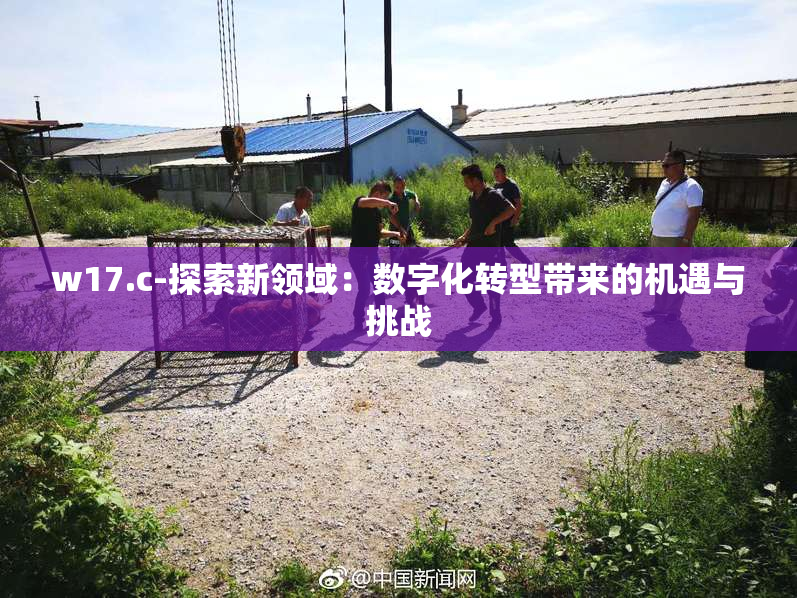 w17.c-探索新领域：数字化转型带来的机遇与挑战
