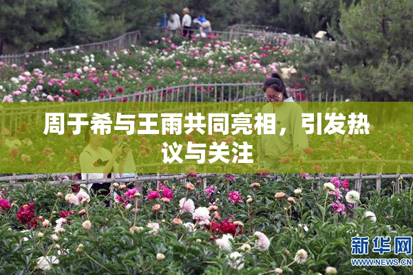 周于希与王雨共同亮相，引发热议与关注