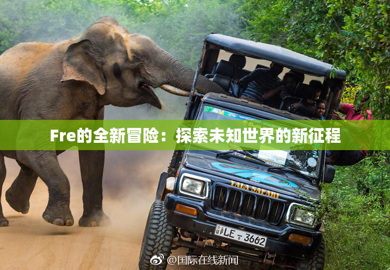 Fre的全新冒险：探索未知世界的新征程