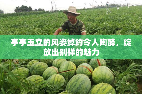 亭亭玉立的风姿绰约令人陶醉，绽放出别样的魅力