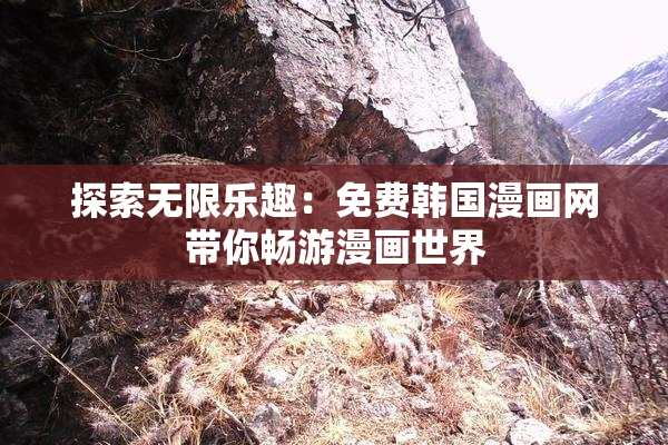 探索无限乐趣：免费韩国漫画网带你畅游漫画世界