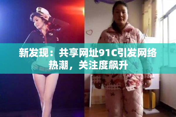 新发现：共享网址91C引发网络热潮，关注度飙升