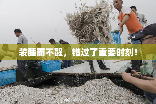 装睡而不醒，错过了重要时刻！
