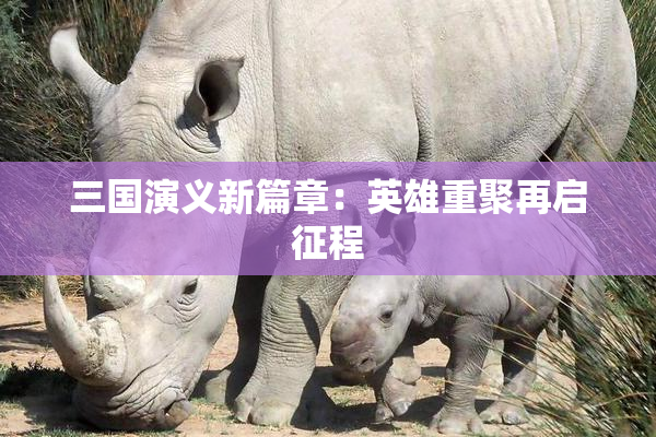 三国演义新篇章：英雄重聚再启征程