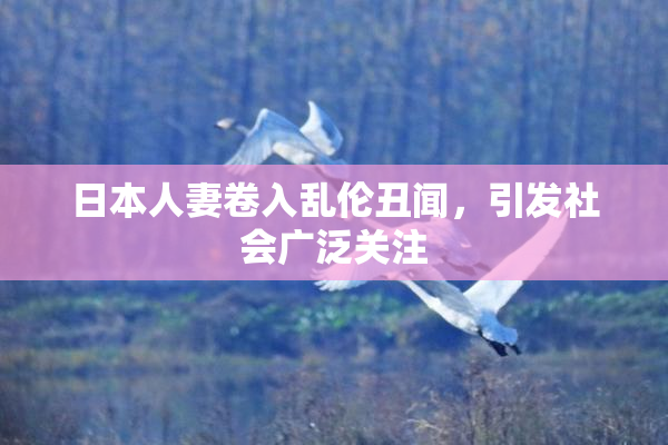 日本人妻卷入乱伦丑闻，引发社会广泛关注