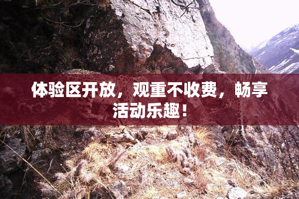体验区开放，观重不收费，畅享活动乐趣！