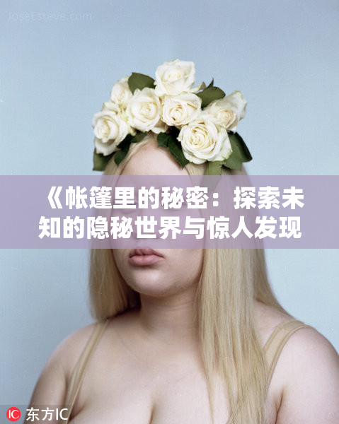 《帐篷里的秘密：探索未知的隐秘世界与惊人发现》