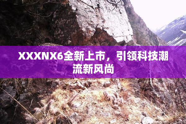 XXXNX6全新上市，引领科技潮流新风尚