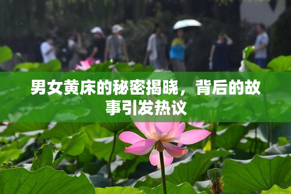 男女黄床的秘密揭晓，背后的故事引发热议