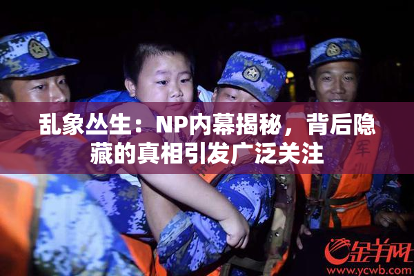 乱象丛生：NP内幕揭秘，背后隐藏的真相引发广泛关注