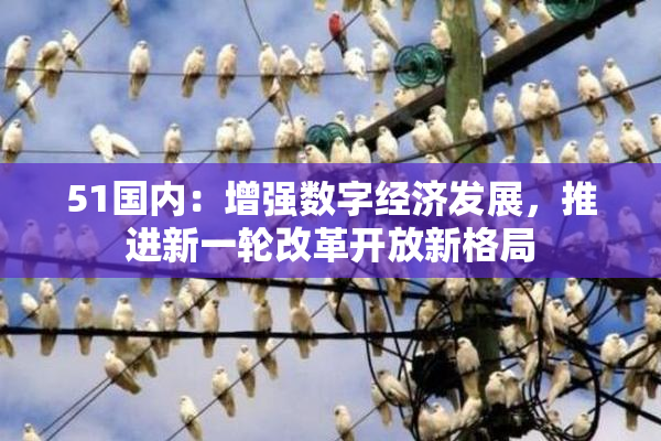 51国内：增强数字经济发展，推进新一轮改革开放新格局