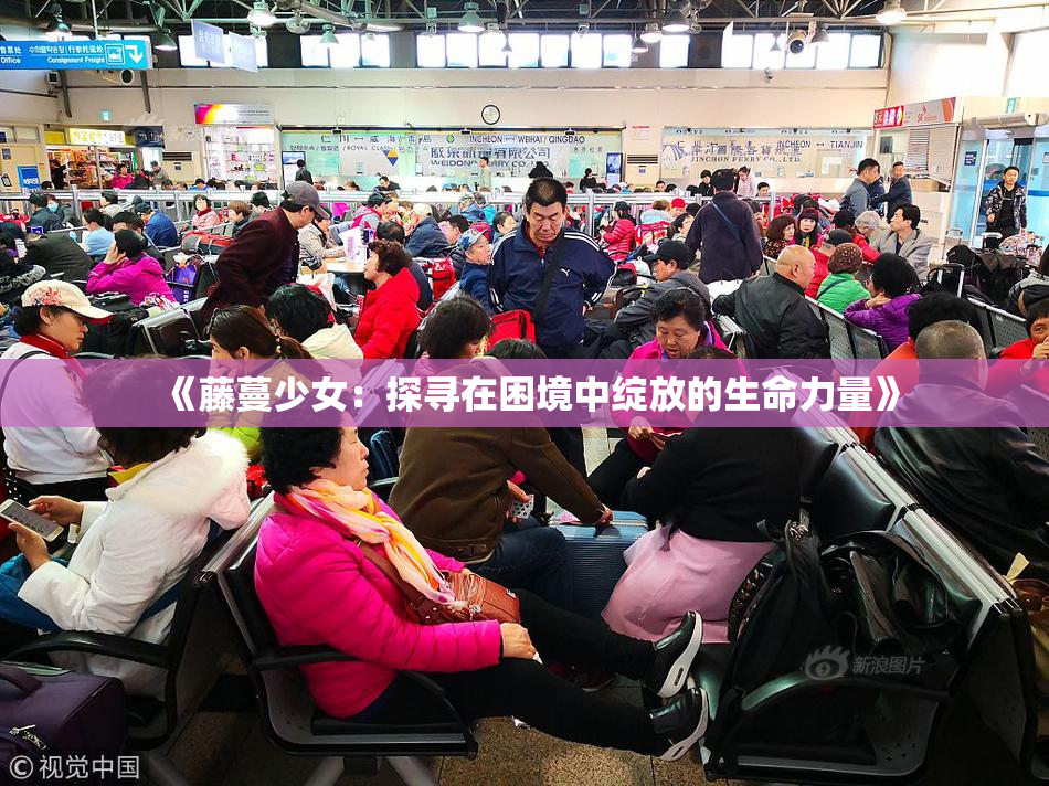 《藤蔓少女：探寻在困境中绽放的生命力量》