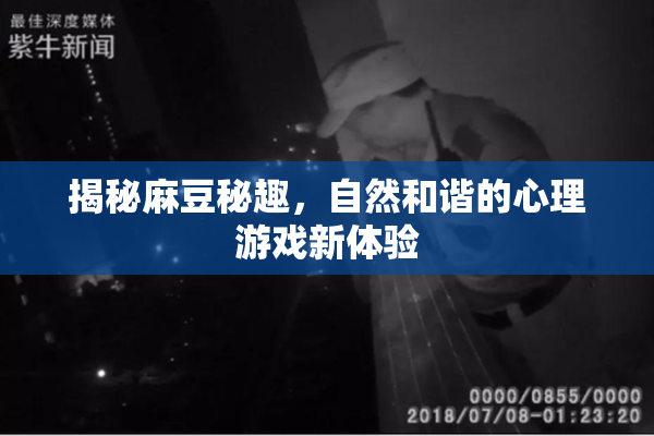 揭秘麻豆秘趣，自然和谐的心理游戏新体验