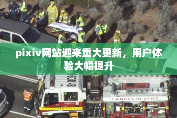 pixiv网站迎来重大更新，用户体验大幅提升