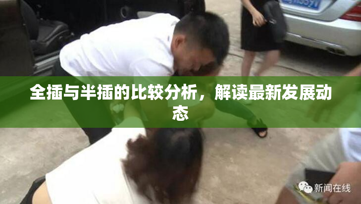 全插与半插的比较分析，解读最新发展动态
