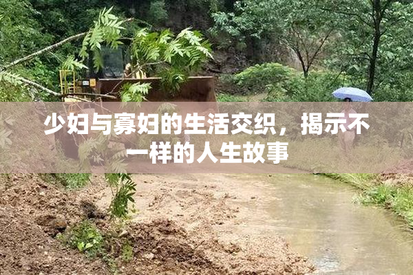 少妇与寡妇的生活交织，揭示不一样的人生故事