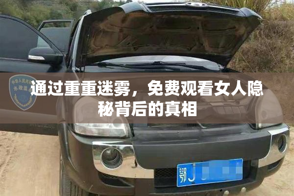 通过重重迷雾，免费观看女人隐秘背后的真相