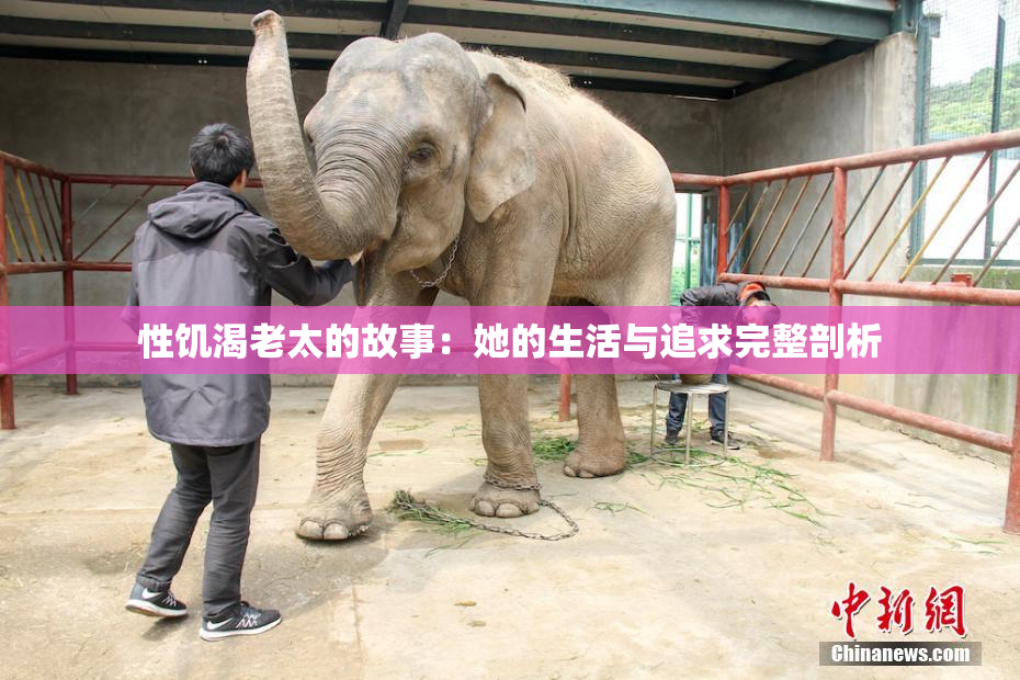 性饥渴老太的故事：她的生活与追求完整剖析